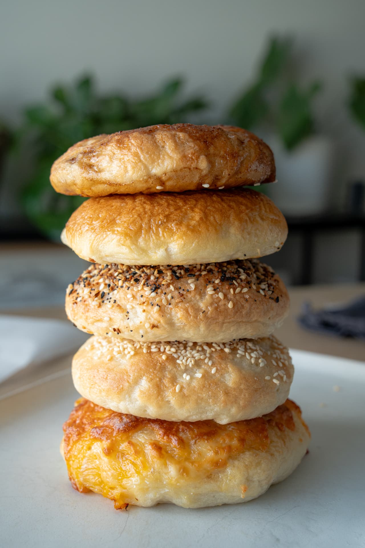 A stack of plain, everything, sesame, and cheese bagels